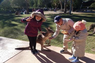 Khám phá nước Úc xinh đẹp - Xứ sở chuột túi Kangaroo